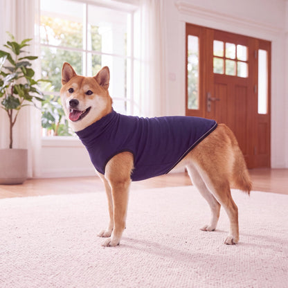 Shiba Inu standing in profile wearing the navy Vesty calming vest, showing the full length — size XL